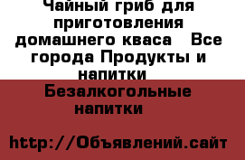 Чайный гриб для приготовления домашнего кваса - Все города Продукты и напитки » Безалкогольные напитки   